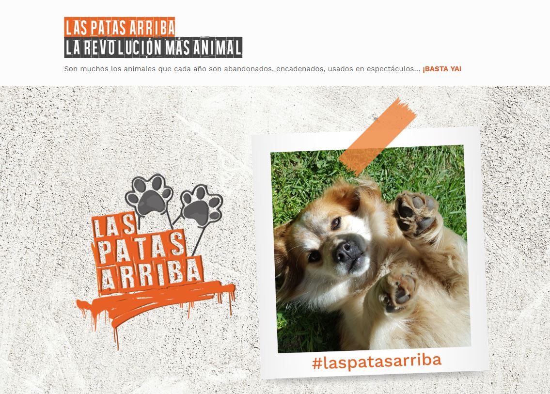 Casa Grande de Xanceda se pone patas arriba contra el maltrato animal.